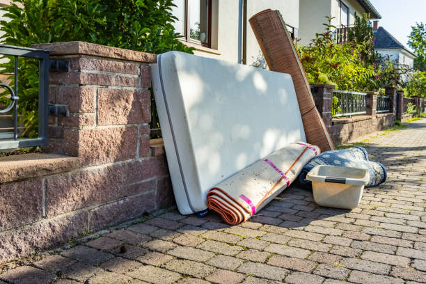 Best Trash Removal Near Me  in Melvindale, MI